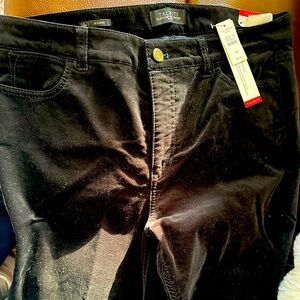 Talbots 14 petite pants/jeggings. Brand new with tags and never worn.